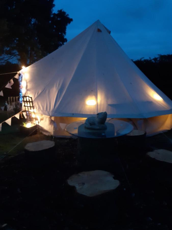 The White Dove Bed And Breakfast With Bell Tents And Private Hot Tubs Coddington  Zewnętrze zdjęcie