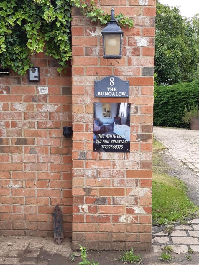 The White Dove Bed And Breakfast With Bell Tents And Private Hot Tubs Coddington  Zewnętrze zdjęcie