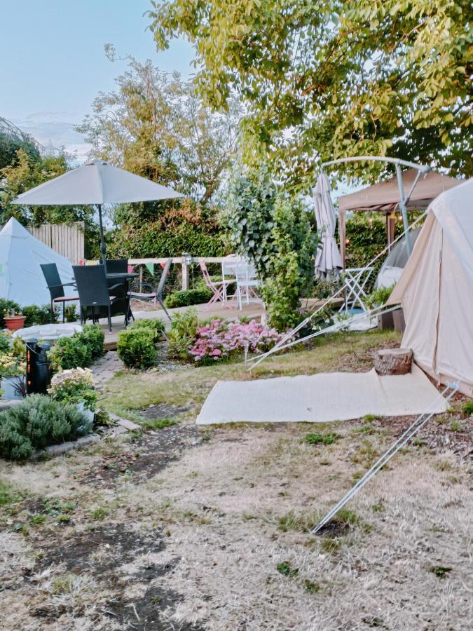 The White Dove Bed And Breakfast With Bell Tents And Private Hot Tubs Coddington  Zewnętrze zdjęcie