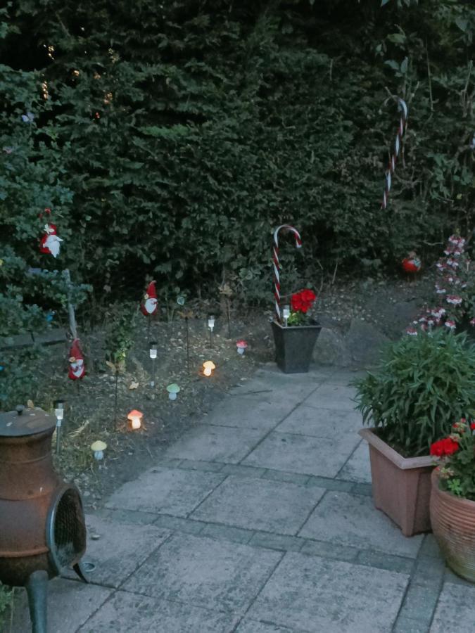 The White Dove Bed And Breakfast With Bell Tents And Private Hot Tubs Coddington  Zewnętrze zdjęcie