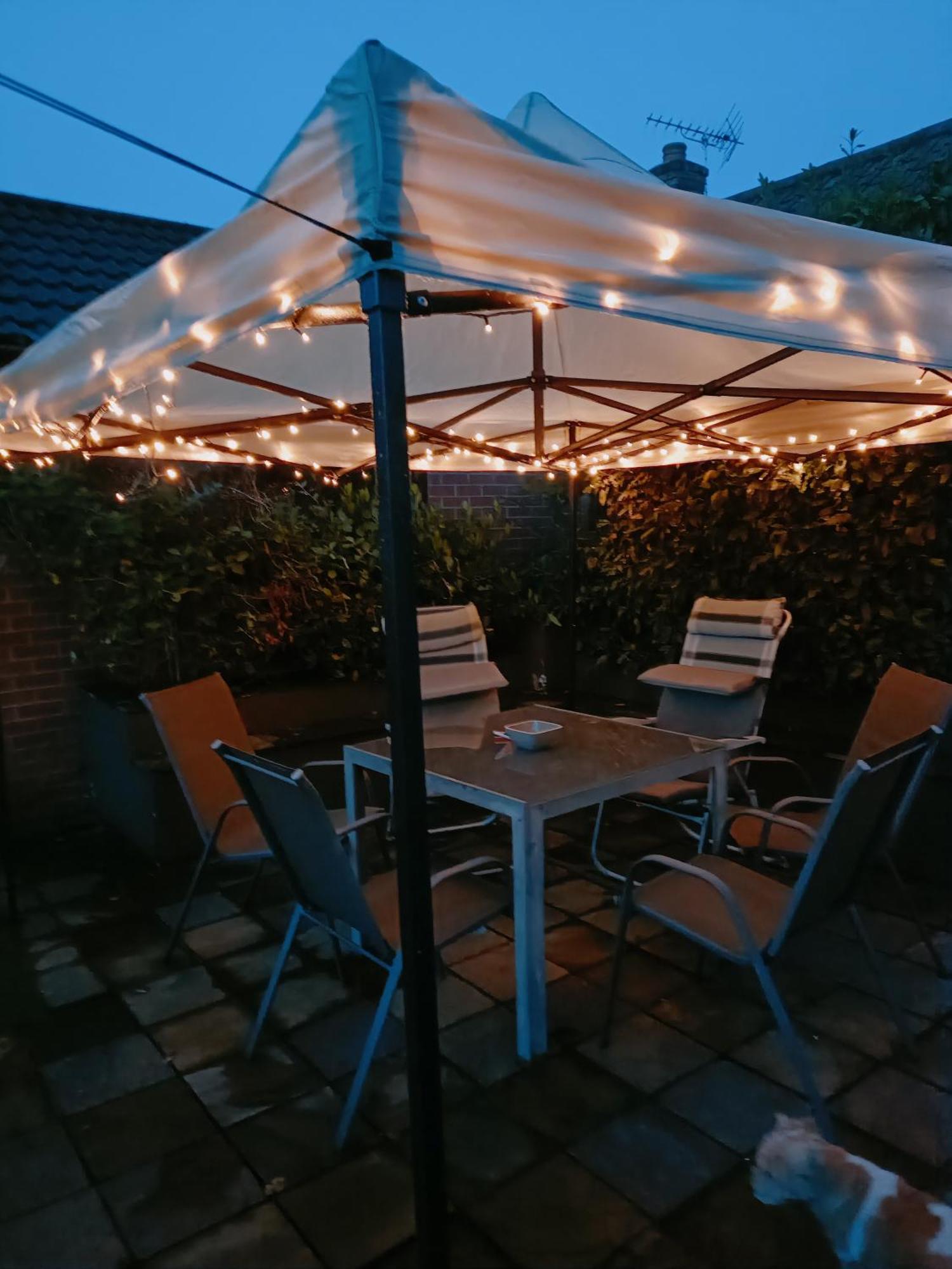 The White Dove Bed And Breakfast With Bell Tents And Private Hot Tubs Coddington  Zewnętrze zdjęcie